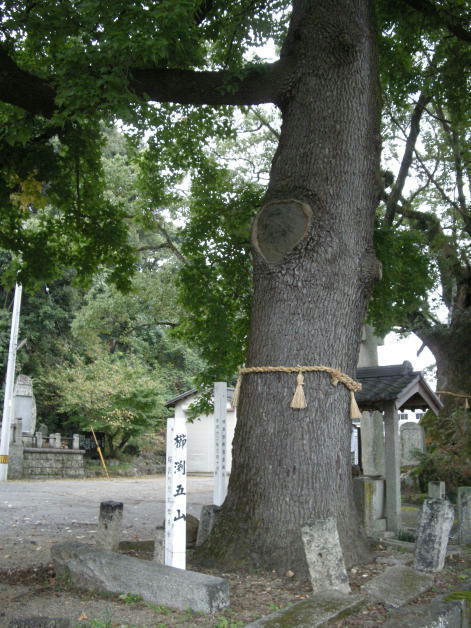 旅 ８６０ 櫛淵八幡神社 ・ 法泉寺: ハッシー２７のブログ